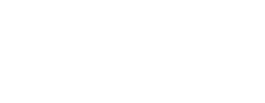 Script Consultoria Histórica